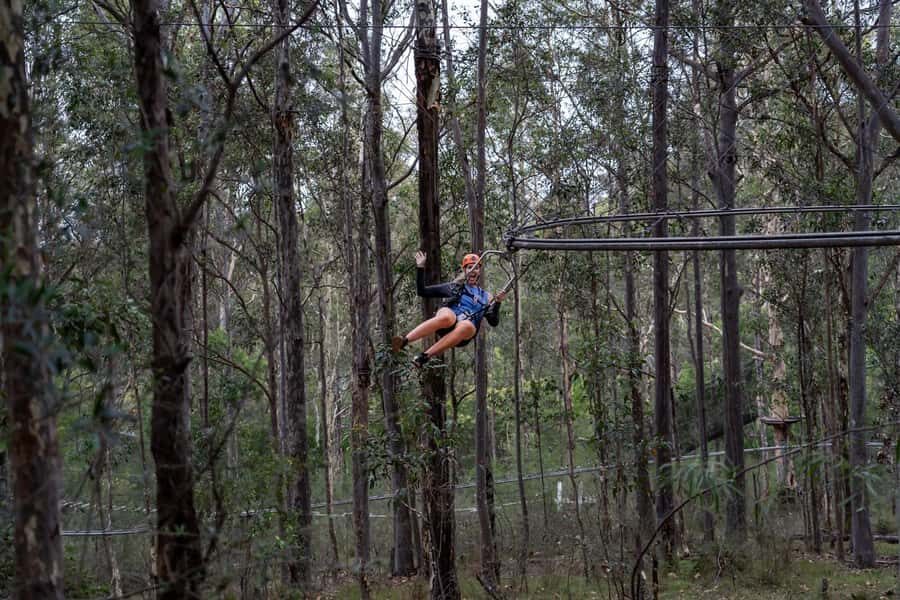 Western Sydney: Zipcoaster Experience - Who Should Consider This Experience?