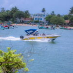 Whale and Dolphin Watching - Private Speed Boat Tour - A Closer Look at the Whale and Dolphin Watching Private Speed Boat Tour