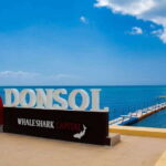 Whale Shark Interaction at Donsol Sorsogon by ZCHEDULISTA - What’s Included & What to Consider