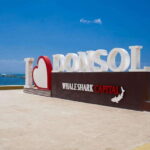 Whale Shark Interaction at Donsol Sorsogon by ZCHEDULISTA - What’s Included & What’s Not