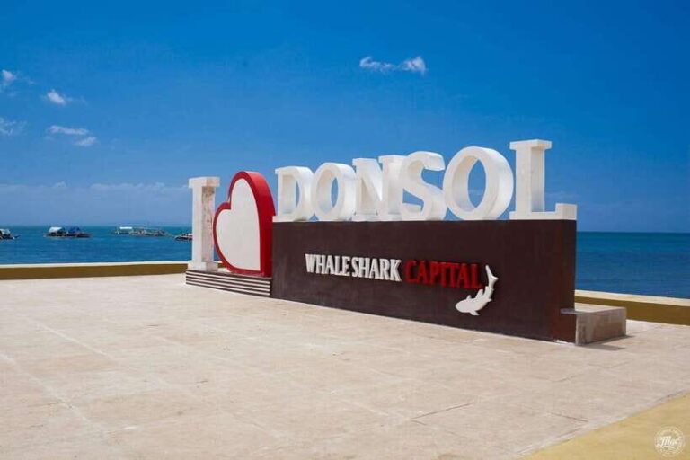 Whale Shark Interaction at Donsol Sorsogon by ZCHEDULISTA - What’s Included & What’s Not