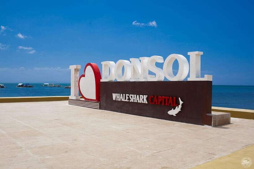 Whale Shark Interaction at Donsol Sorsogon by ZCHEDULISTA - What’s Included & What’s Not