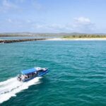 Whale Watching Discovery Tour from Lake Macquarie - Who Will Love This Tour?