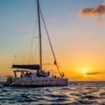 Whale Watching in a Yacht in Mirissa - Final Thoughts: Is This Tour Right for You?