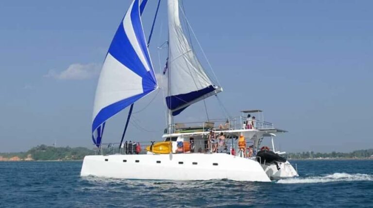 Whale Watching in a Yacht in Mirissa - Final Thoughts