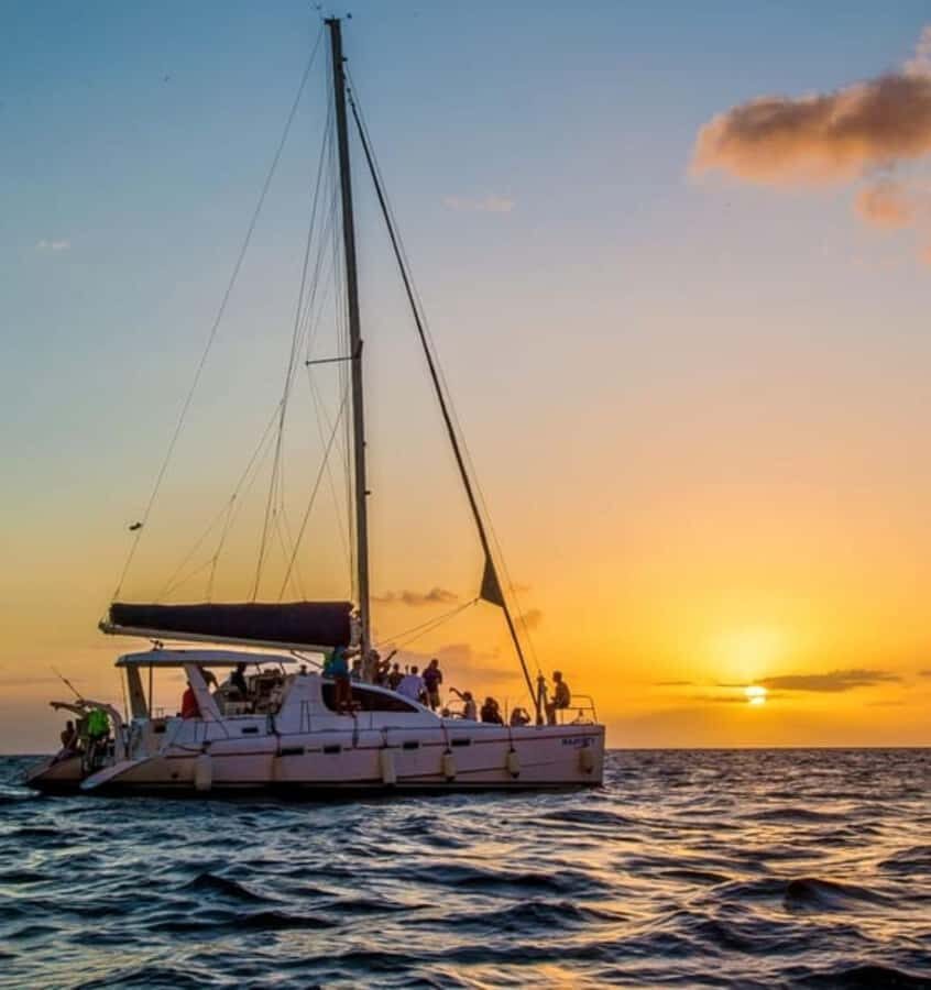 Whale Watching in a Yacht in Mirissa - Final Thoughts: Is This Tour Right for You?