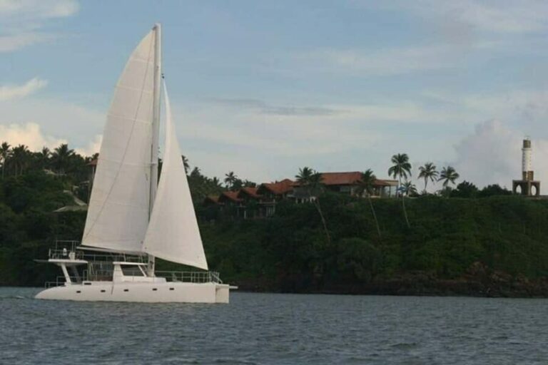 Whale Watching in a yacht in Trincomalee - Practical Tips for Your Trip