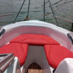 Whale Watching in Speed Boat in Mirissa - What to Expect from the Tour