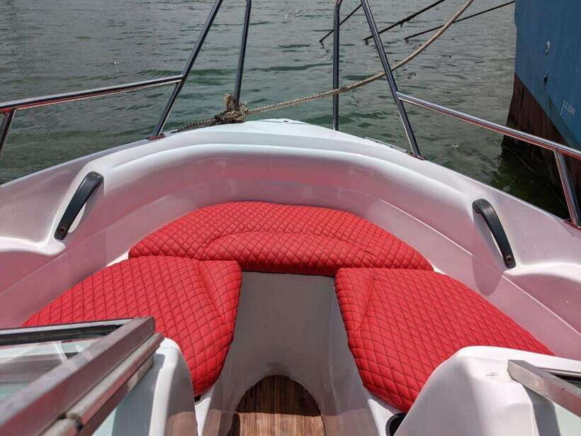 Whale Watching in Speed Boat in Mirissa - What to Expect from the Tour