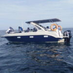 Whale Watching in Speed Boat in Mirissa - Practical Tips for Making the Most of Your Tour