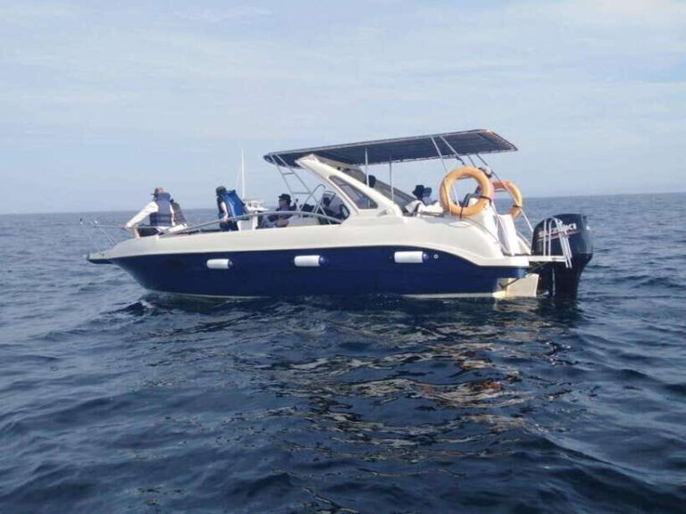 Whale Watching in Speed Boat in Mirissa - Practical Tips for Making the Most of Your Tour