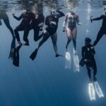 Whale Watching Shared Half Day - The Value of the Tour