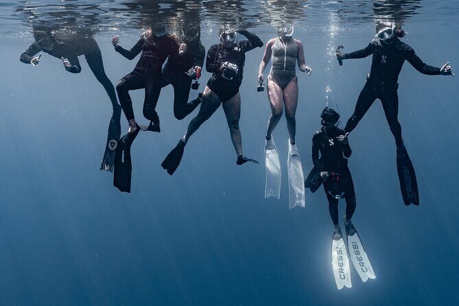 Whale Watching Shared Half Day - The Value of the Tour