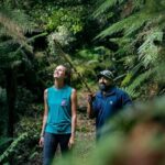 Whirinaki Forest Footsteps: Mori Guided Tour, Picnic & Transfer - Why This Tour Works Well for Travelers