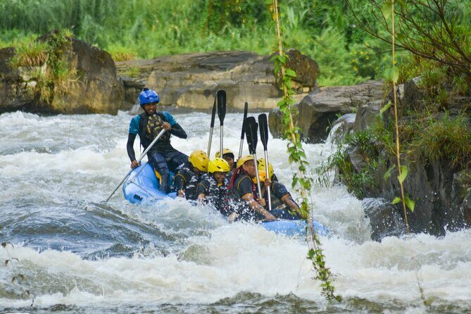 Whitewater Rafting Adventure on the Kelani River in Kitulgala - What Makes This Tour Stand Out?