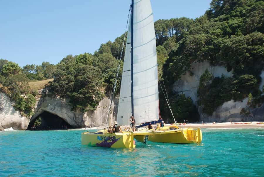 Whitianga: Sailing Trip to Cathedral Cove - Why This Tour Works Well