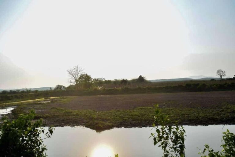 Wiang Nong Lom: Lanna Culture & Crafts Day Trip - The Itinerary Details