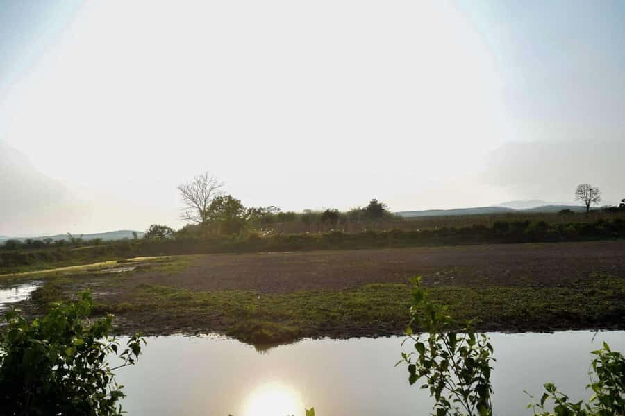 Wiang Nong Lom: Lanna Culture & Crafts Day Trip - The Itinerary Details