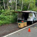 Wild & Scenic Rainforest Nature Walk (Day Time River & Swim) - An In-Depth Look at the Rainforest Experience