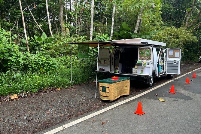 Wild & Scenic Rainforest Nature Walk (Day Time River & Swim) - An In-Depth Look at the Rainforest Experience