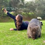 WILD Wombats and Kangaroo Experience, All Inclusive, Sydney - The Practicalities