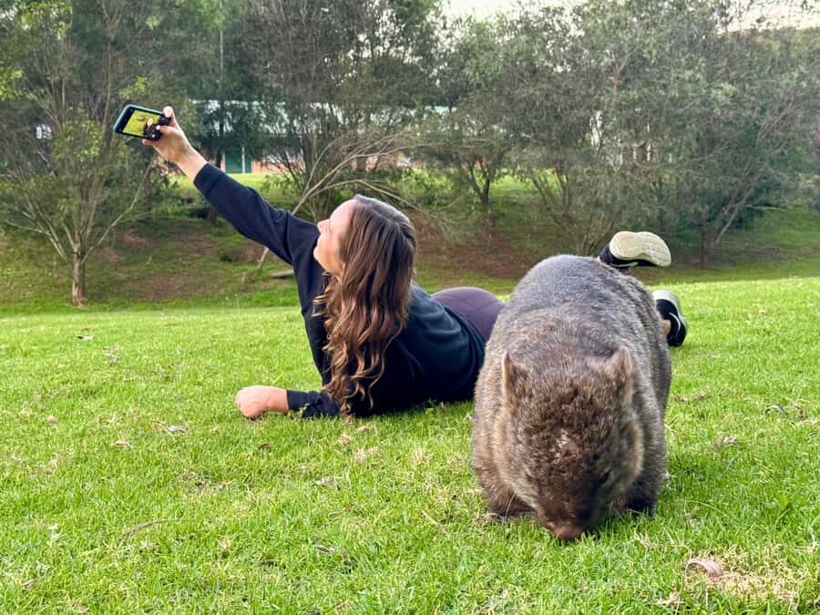 WILD Wombats and Kangaroo Experience, All Inclusive, Sydney - The Practicalities