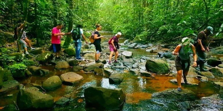 Wild Wonders (8 Days) - The Itinerary Breakdown: What You Really Get