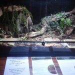 Wildlife Centre Experience - Authentic Insights from Reviewers