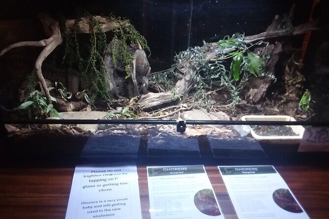 Wildlife Centre Experience - Authentic Insights from Reviewers