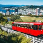 Wildlife Private Tour from Wellington Cruise Port - Why Choose This Tour?