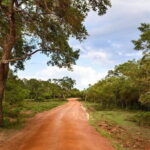 Wilpattu Half Day Safari from Sigiriya - Analyzing the Value for Money