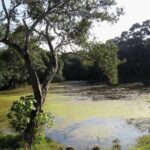 Wilpattu National Park Entrance Ticket with Private Safari - Final Thoughts