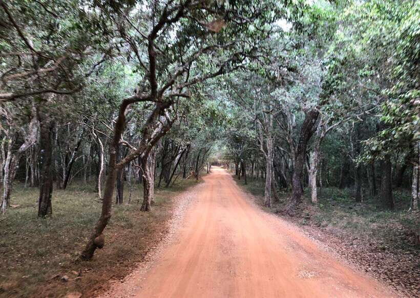 Wilpattu National Park Safari - The Itinerary: A Closer Look