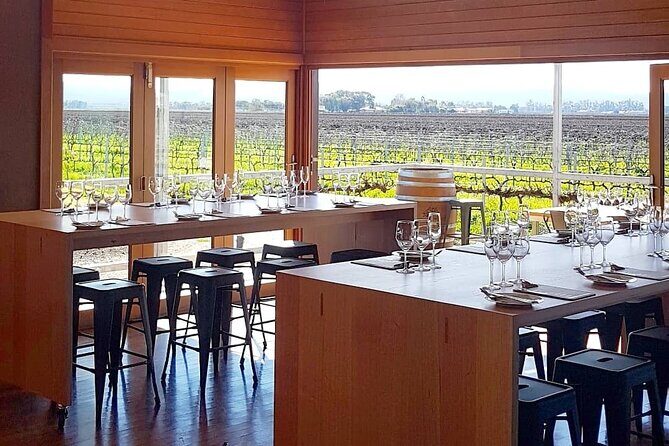 Wine Tasting Experience - The Sum Up