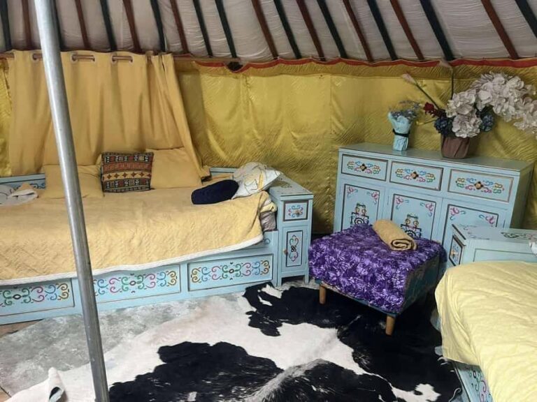 Winter tour: 2-Day Khustai & Terelj National Park Tour - A Deep Dive into the 2-Day Experience