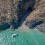 Wirrina Cove: Coastal Sightseeing Boat Tour with Seal Colony - Spotting the Wildlife: Seals, Sea Lions, and Eagles