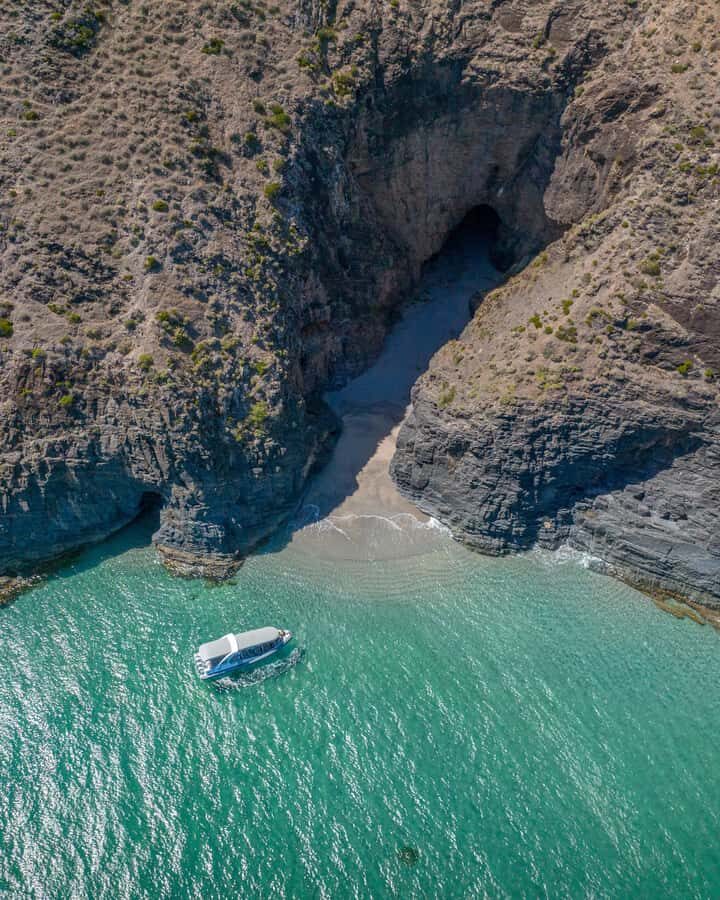 Wirrina Cove: Coastal Sightseeing Boat Tour with Seal Colony - Spotting the Wildlife: Seals, Sea Lions, and Eagles