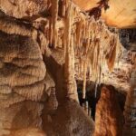 Wombeyan Caves: Kooringa Cave Guided Tour - In-Depth Breakdown of the Itinerary
