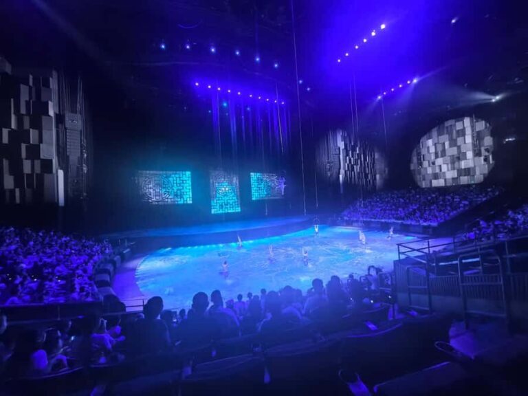 Wuhan: Han Show VIP Ticket, Chu River Tour & Dinner - What to Expect: A Well-Choreographed Evening  