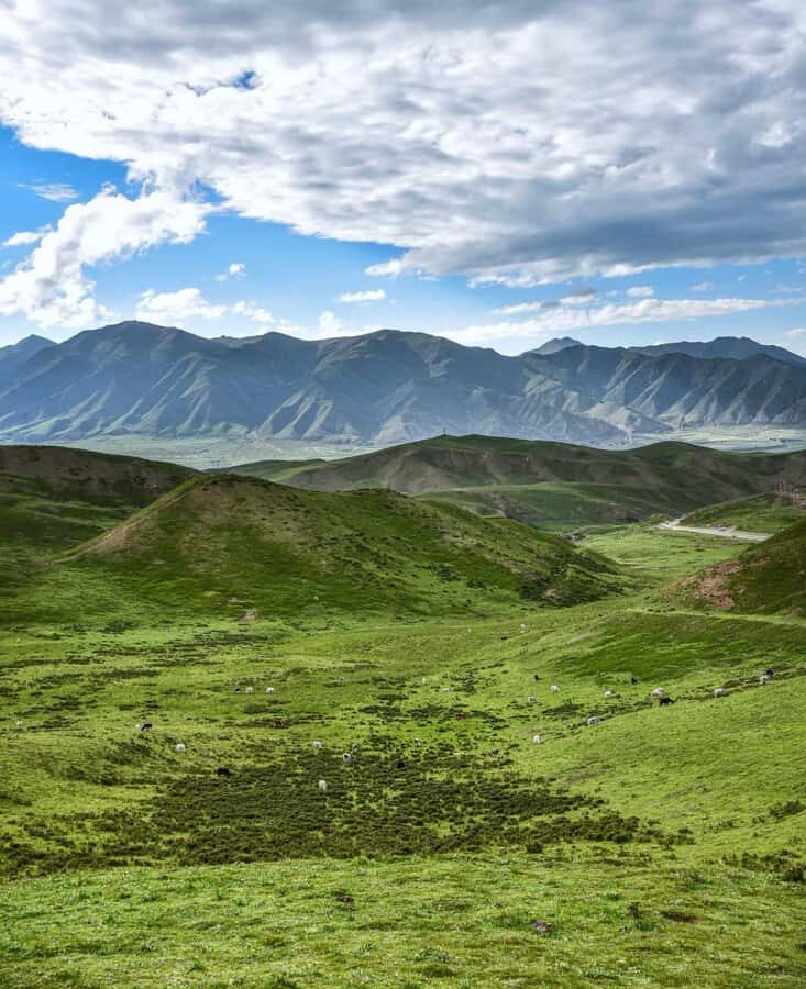 Wuwei Day Tour: White Pagoda, Wushaoling & Snow Mountain - About the Experience  