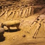 Xi'an Private Day Tour: Discover the Heritages of Qin and Han Dynasties - Who Would Enjoy This Tour?