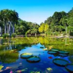 Xishuangbanna: 7-Day Dai Heritage & Botanical Wonders - The Practicalities and Value