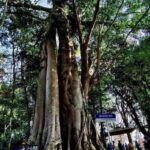 Xishuangbanna: Day Trip to Daluo - An In-Depth Look at the Tour Experience