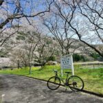 Yabakei Gorge Countryside Cycling Tour - Detailed Breakdown of the Itinerary