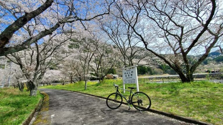 Yabakei Gorge Countryside Cycling Tour - Detailed Breakdown of the Itinerary