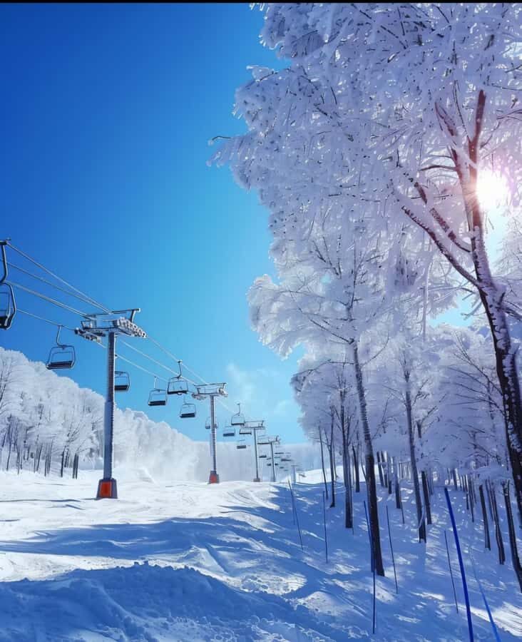 Yabuli Ski Resort Ski Ticket in Harbin - Final Thoughts