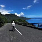 Yakushima: E-Bike Rental Plan (Pick-Up & Drop-Off Included) - Who Will Love This Tour?