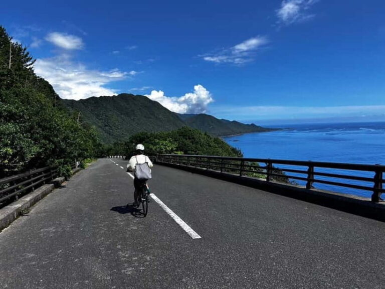 Yakushima: E-Bike Rental Plan (Pick-Up & Drop-Off Included) - Who Will Love This Tour?