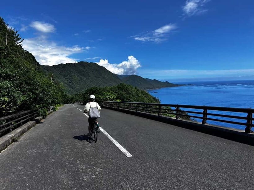 Yakushima: E-Bike Rental Plan (Pick-Up & Drop-Off Included) - Who Will Love This Tour?