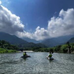 Yakushima: Private Guided Tour - An In-Depth Look at the Yakushima Private Guided Tour